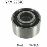 VKM 22540