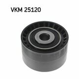 VKM 25120