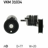 VKM 31034