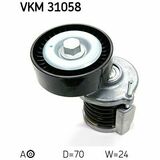 VKM 31058