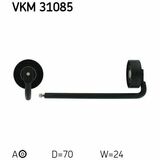 VKM 31085