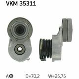 VKM 35311