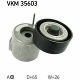 VKM 35603