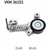 VKM 36151