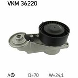 VKM 36220