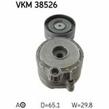 VKM 38526