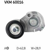 VKM 60016