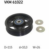 VKM 61022