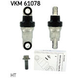 VKM 61078