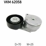 VKM 62058