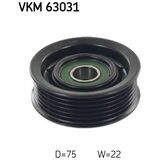 VKM 63031