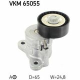 VKM 65055