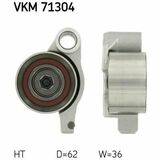 VKM 71304