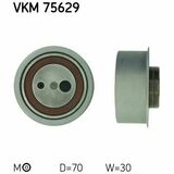 VKM 75629