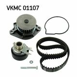 VKMC 01107