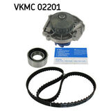 VKMC 02201