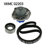 VKMC 02203