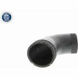 Q+,  Première Monte