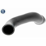 Q+, calidad de primer equipo