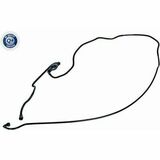 Q+,  Première Monte