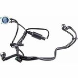 Q+, calidad de primer equipo