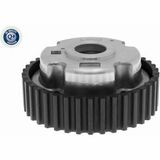 Q+,  Première Monte