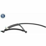 Q+,  Première Monte