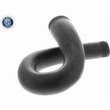 Q+, calidad de primer equipo