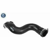 Q+,  Première Monte