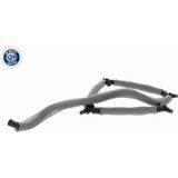 Q+,  Première Monte