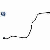 Q+,  Première Monte