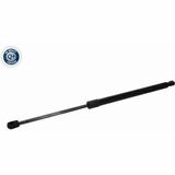 Q+, calidad de primer equipo