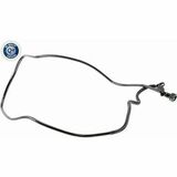 Q+,  Première Monte