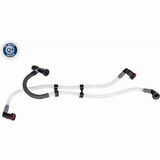 Q+,  Première Monte