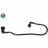 Q+,  Première Monte