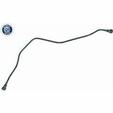 Q+,  Première Monte