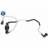 Q+,  Première Monte