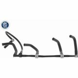 Q+,  Première Monte