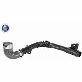 Q+, calidad de primer equipo