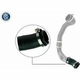 Q+,  Première Monte