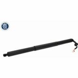 Q+,  Première Monte