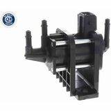 Q+,  Première Monte