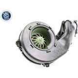 Q+,  Première Monte