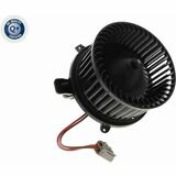 Q+,  Première Monte