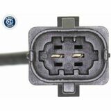 Q+,  Première Monte