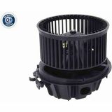 Q+,  Première Monte