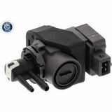 Q+,  Première Monte