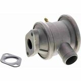 Q+,  Première Monte