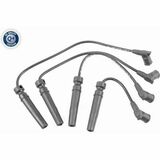 Q+,  Première Monte