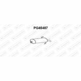PG45487